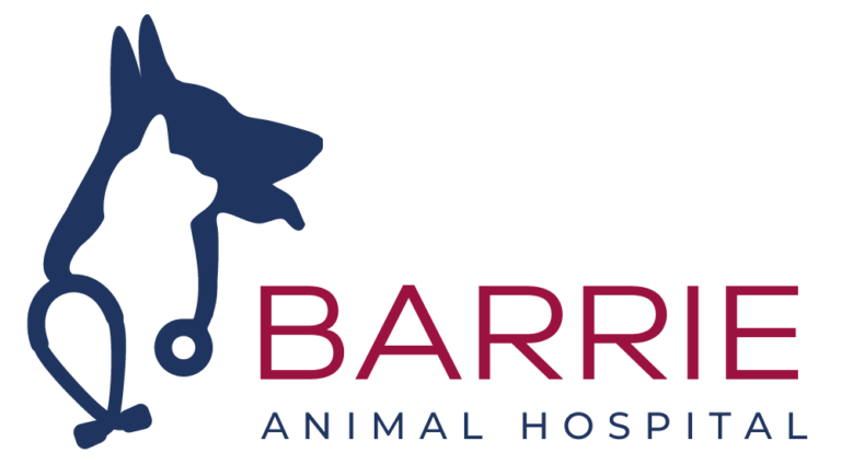 Home - Barrie Animal Hospital, Barrie, Ontario