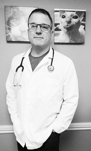 Dr. Mark Bolton – Veterinarian – Barrie Animal Hospital, Barrie, Ontario